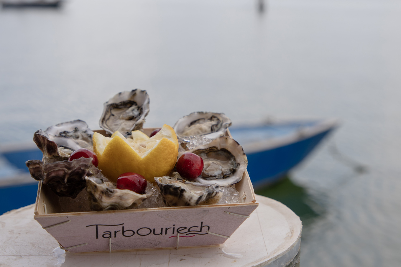 Tarbouriech Italia - Our oysters